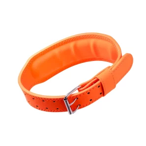 Orange Padded Leather Weightlifting Belt Orange Padded Leather Weightlifting Belt with Double Prong Buckle - Axiom Asterisk